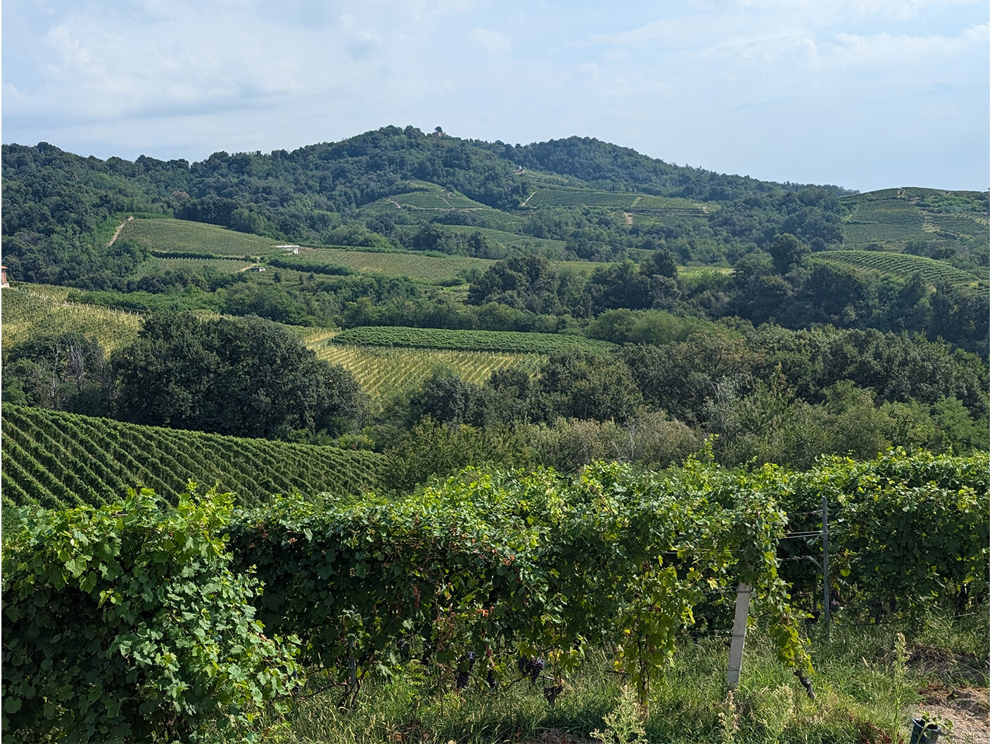 Alto-Piemonte-Wine-Retreat-03